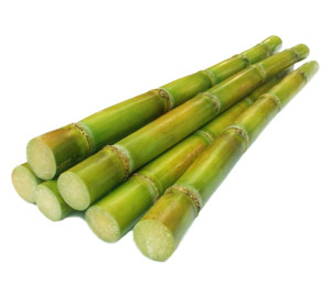 CANNA DI BASTONE (AKH) 5KG